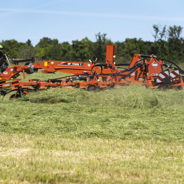 3768 12182 MEDIUM GF17003 T WORK GROUND DF 7