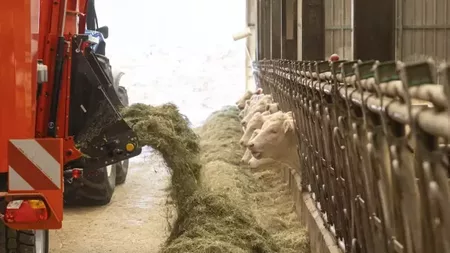 PROFILE 2 M Tapis inclinable jpg