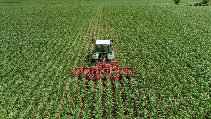 Das Hackgerät ROWLINER bei der Arbeit auf einem Feld