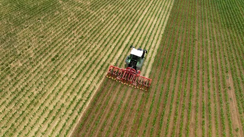 Das Hackgerät ROWLINER bei der Arbeit auf einem Feld