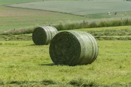 Constant net tension 150625276a jpg