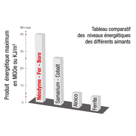 Aimants : jouez la sécurité avec vos animaux !