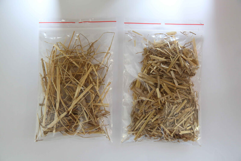 Echantillon de paille (sans hachage et avec hachage) avec la pailleuse distributrice KUHN PRIMOR 4260 M CUT CONTROL