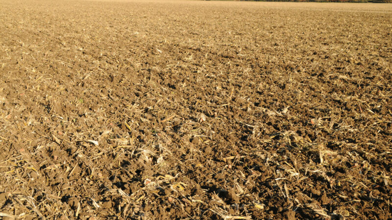 Unabhängiger Einsatz der 4 Zinkenreihen am PERFORMER