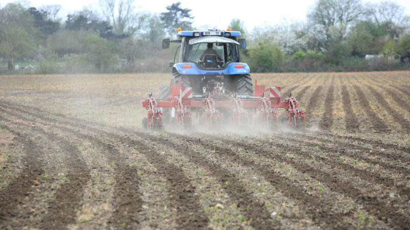 Le passage du STRIGER 100 au printemps permet de préparer la ligne de semis