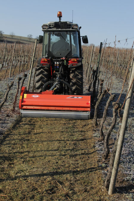 Photo du broyeur BV 160 broyant l'herbe dans les inter-rangs