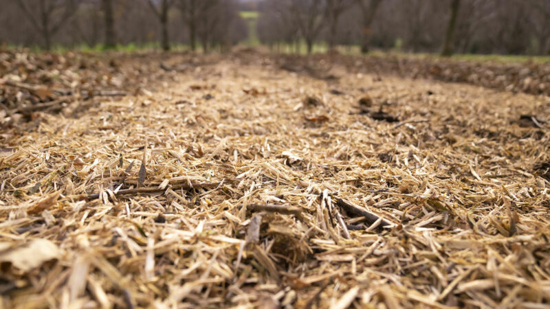 Photo du broyeur TDP 2000 spécialiste des vergers