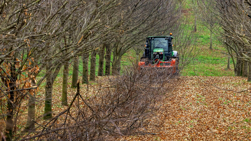 Photo du broyeur TDP 2000, spécialiste des conditions intensives en vergers
