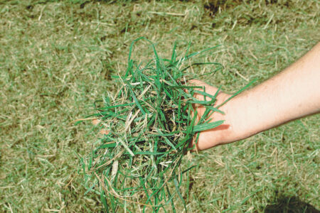 Perfekte Häckselergebnisse mit den Mulchgeräten der SERIE BK