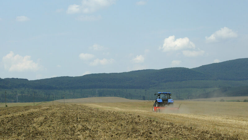 Das Mulchgerät BK 320 bei der Arbeit