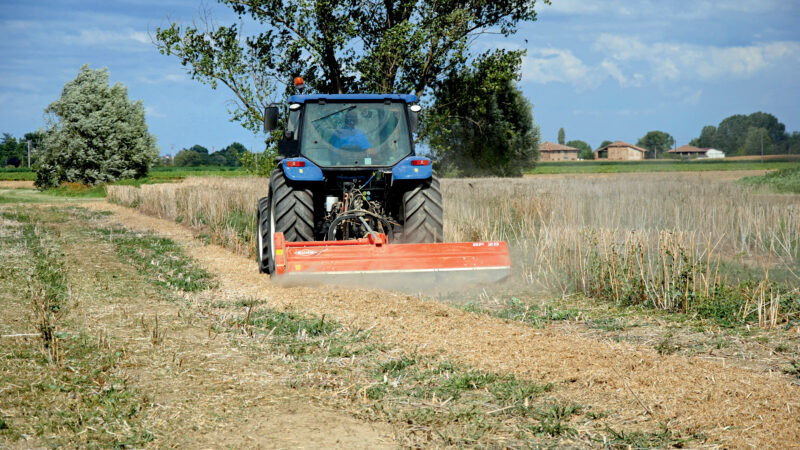 Das Mulchgerät BP 28 bei der Arbeit