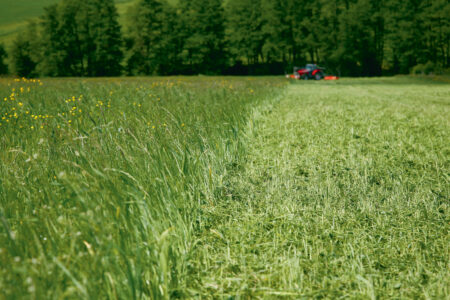 BP8300 High Quantity Shredding jpg