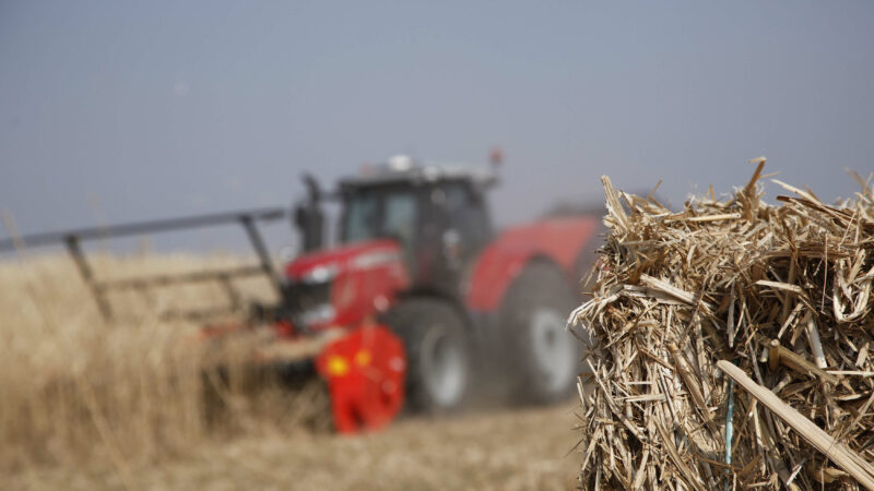Die Ernte von Miscanthus oder Energiepflanzen mit dem Mulchgerät WS 320 BIO und seine zahlreichen Vorteile.