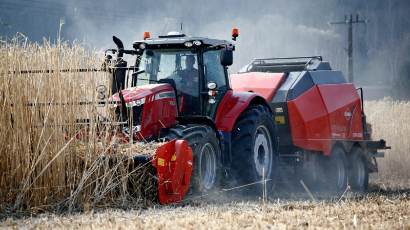 Die Ernte von Miscanthus oder Energiepflanzen mit dem Mulchgerät WS 320 BIO und seine zahlreichen Vorteile.