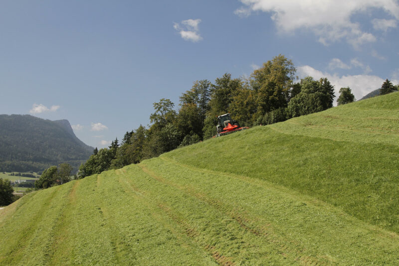 Scheiben-Mähknickzetter FC 3125 D bei der Arbeit