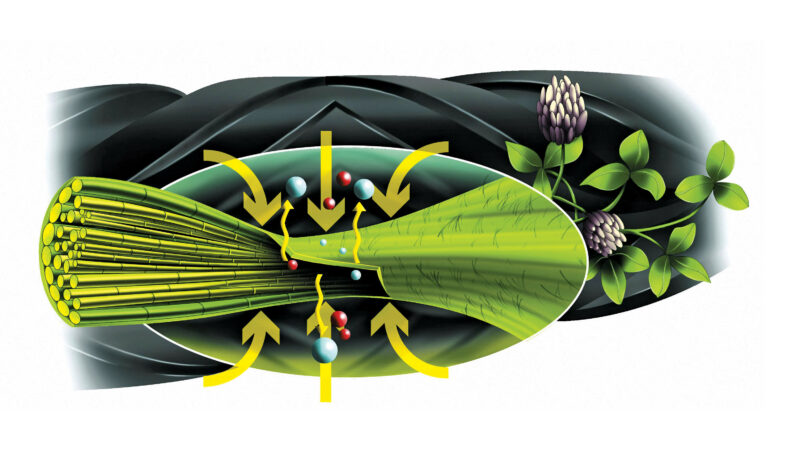 Schéma du conditionneur à doigts en acier sur la FC 104 LIFT-CONTROL