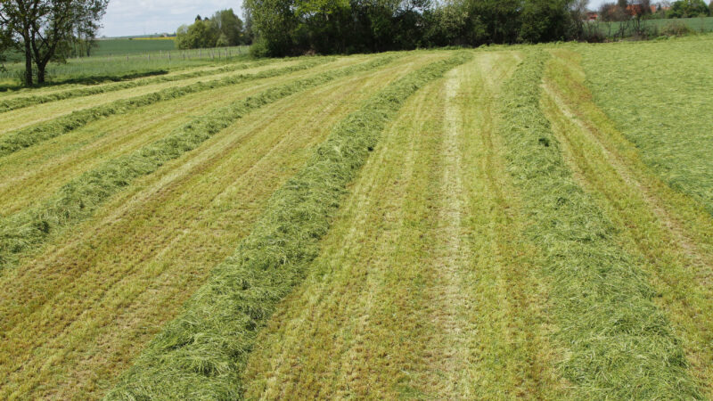 Photo plan large de l'andaineur GA 6501 P KUHN au travail