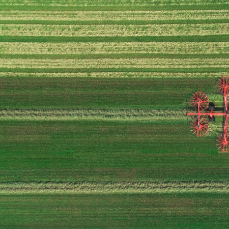 Four Rotors Rakes