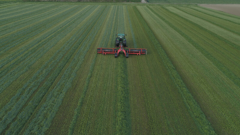 Photo de l'andaineur à tapis MERGE MAXX 1090 au travail dans un champ de luzerne