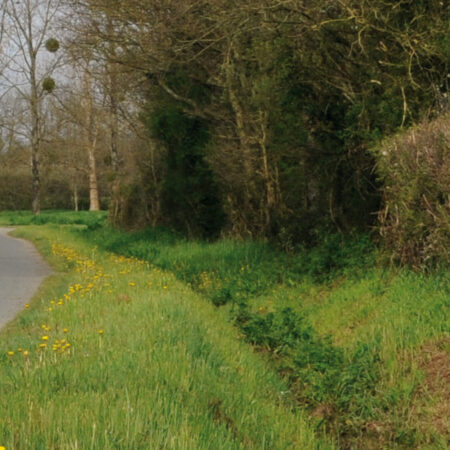 Landscape & Road