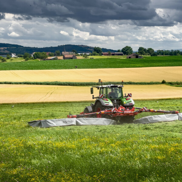 GMD 15030 WORK GROUND